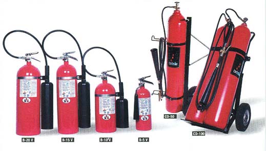 e6.jpg